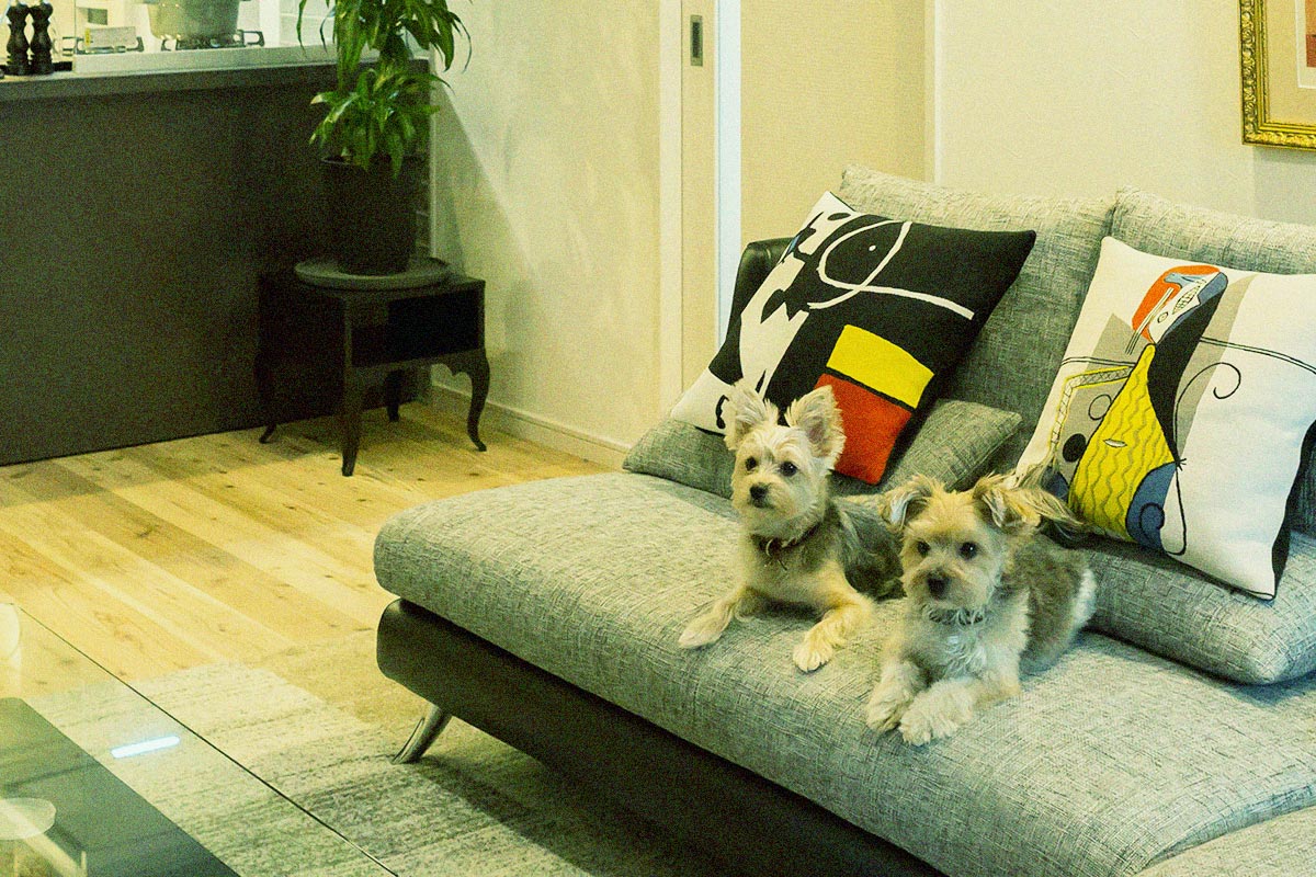 愛犬と暮らすリビング